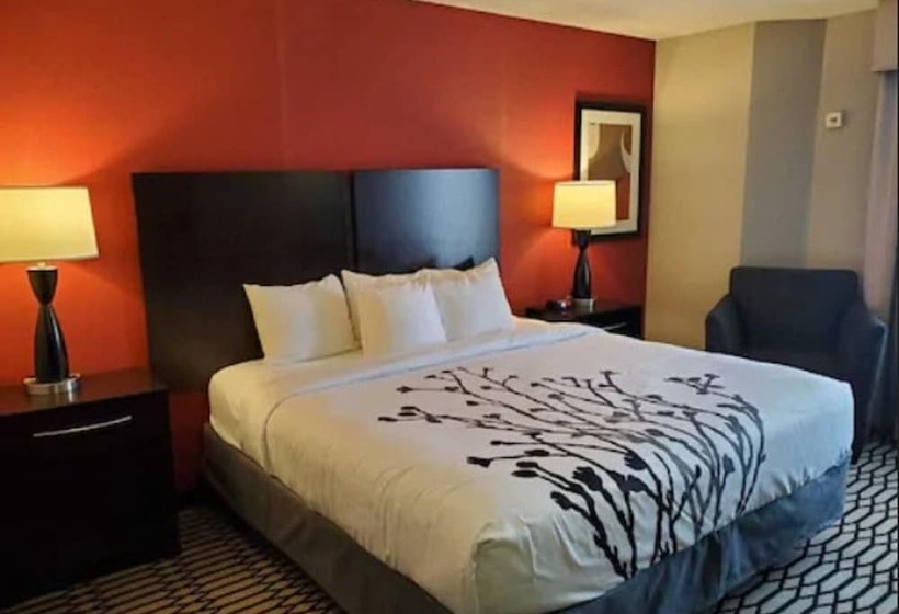 スイート, Bwi Suites
