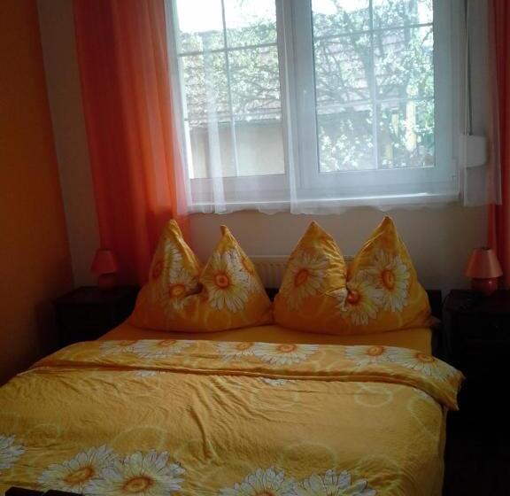 اتاق استاندارد, Vila Patricie