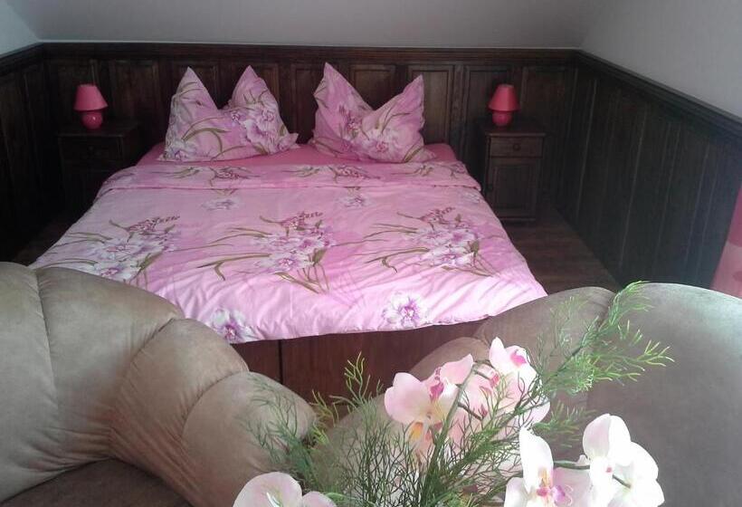 اتاق استاندارد, Vila Patricie