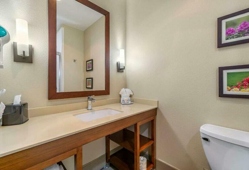 Стандартный Номер Кровать Кинг, Comfort Inn & Suites Lakewood By Jblm