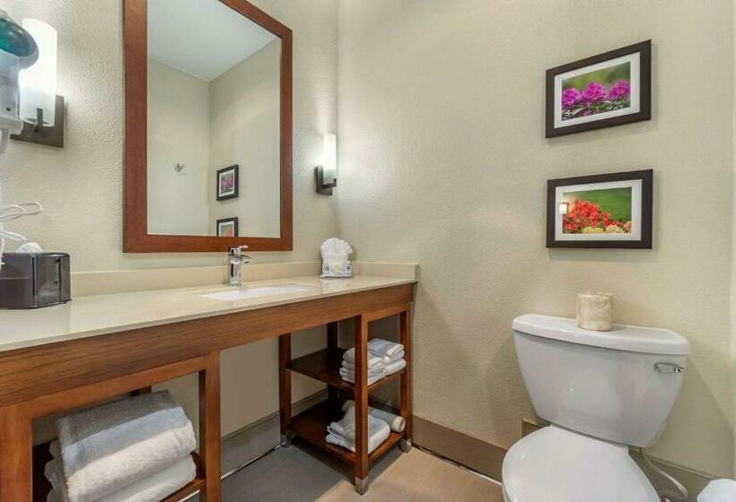 Стандартный Номер Кровать Кинг, Comfort Inn & Suites Lakewood By Jblm