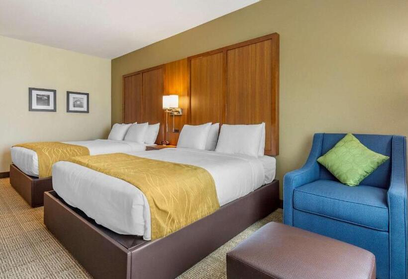 Номер Стандарт 2 Двуспальные Кровати, Comfort Inn & Suites Lakewood By Jblm