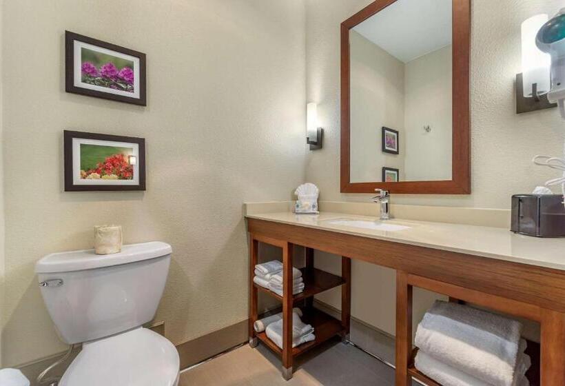 Люкс Кровать Кинг, Comfort Inn & Suites Lakewood By Jblm