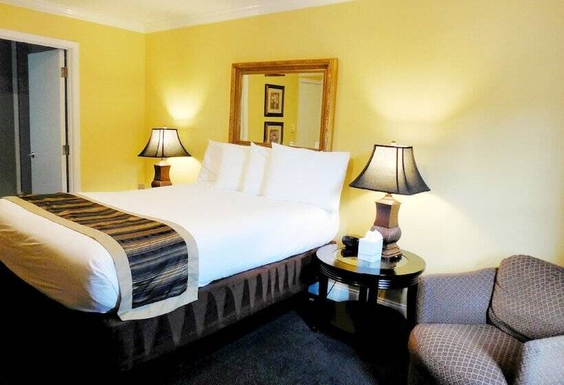 스탠다드 룸 더블 침대, Sea Breeze Inn  Pacific Grove
