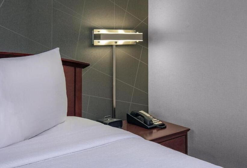 Студио Базик, Springhill Suites By Marriott Norfolk Virginia Beach