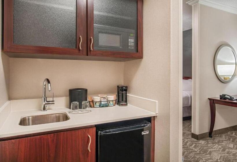 Студио Базик, Springhill Suites By Marriott Norfolk Virginia Beach