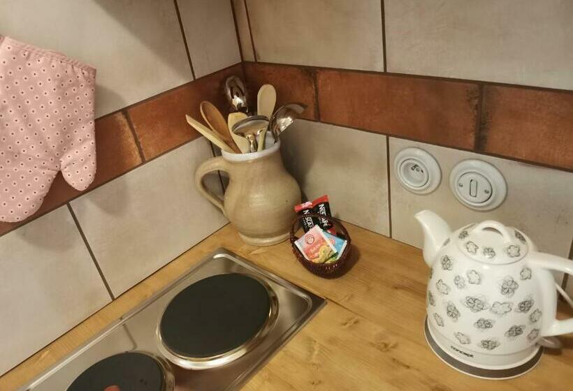 Апартаменты 1 Спальня, Apartmány U Koudelníka