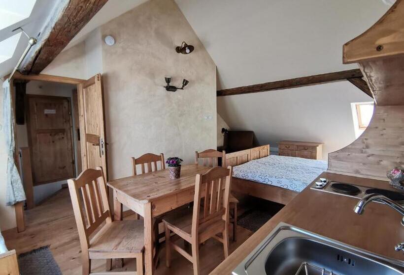 Студия Стандарт, Apartmány U Koudelníka