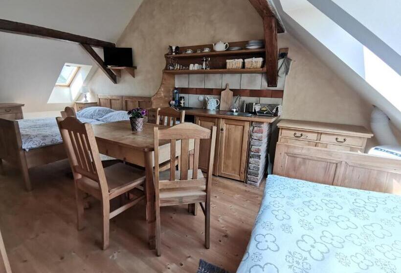 Студия Стандарт, Apartmány U Koudelníka