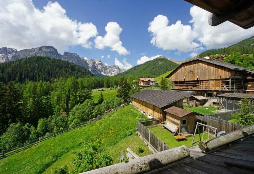 Номер Стандарт, Pension Odles