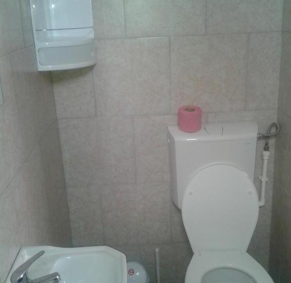اتاق استاندارد با سرویس بهداشتی مشترک, Vila Emy Constanta