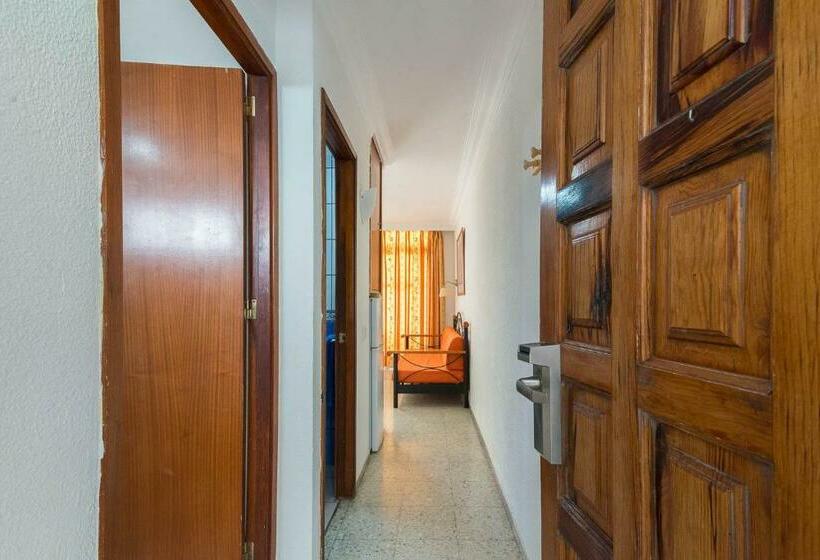 １ベッドルームアパートメント, Apartamentos Amazonas