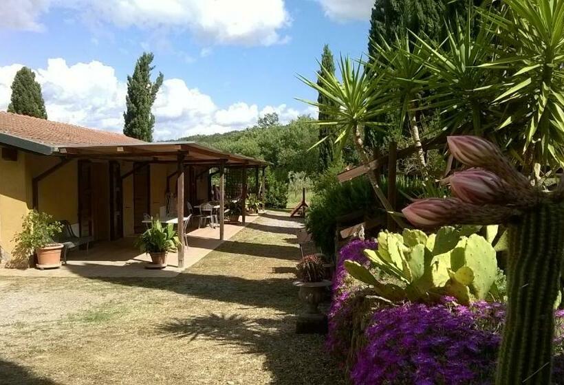 １階の１ベッドルームアパートメント, Agriturismo Podere Mulinaccio