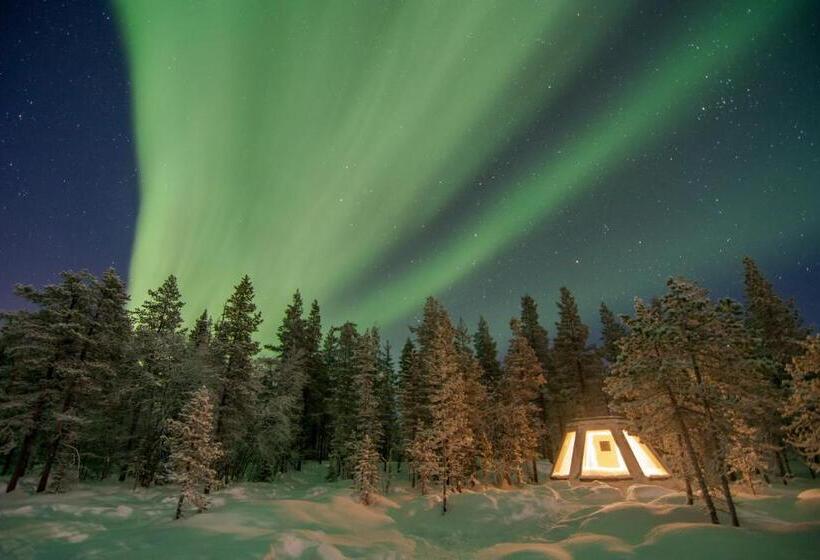 غرفة قياسية, Pinetree Lodge