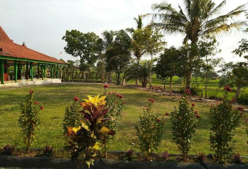 Номер Стандарт, Putri Duyung Guest House