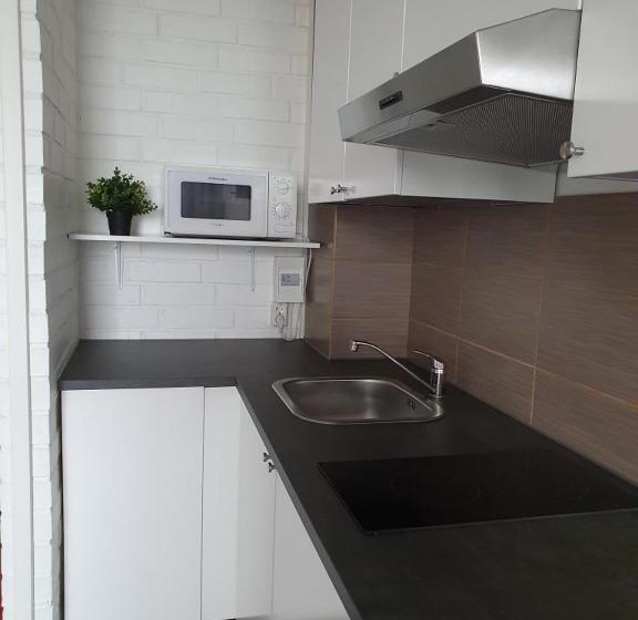 Апартаменты 2 Спальни, & Hostel Silmu