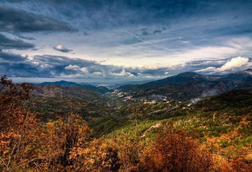 Номер Стандарт Совместная Ванная, Oasi Verde