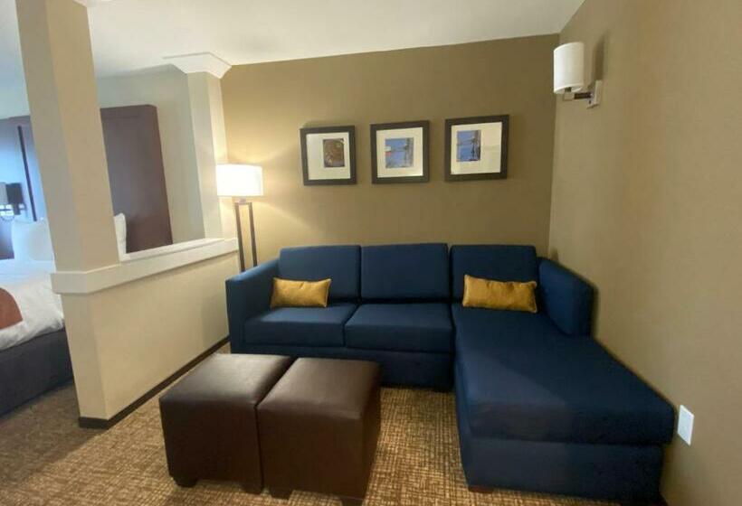 Люкс, Comfort Suites Midland West