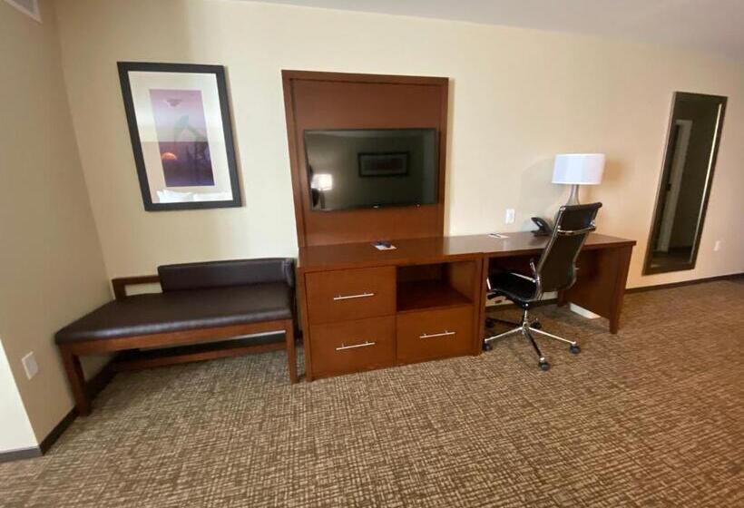 Люкс Адаптированный для Инвалидов, Comfort Suites Midland West