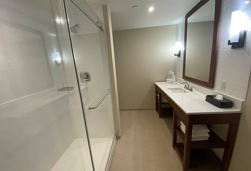 Люкс Адаптированный для Инвалидов, Comfort Suites Midland West