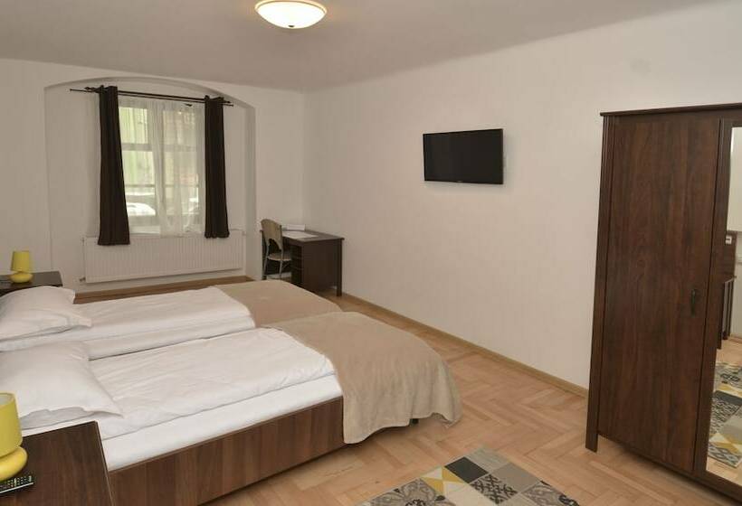 带1个卧室的经典公寓, Casa Roth Apartments