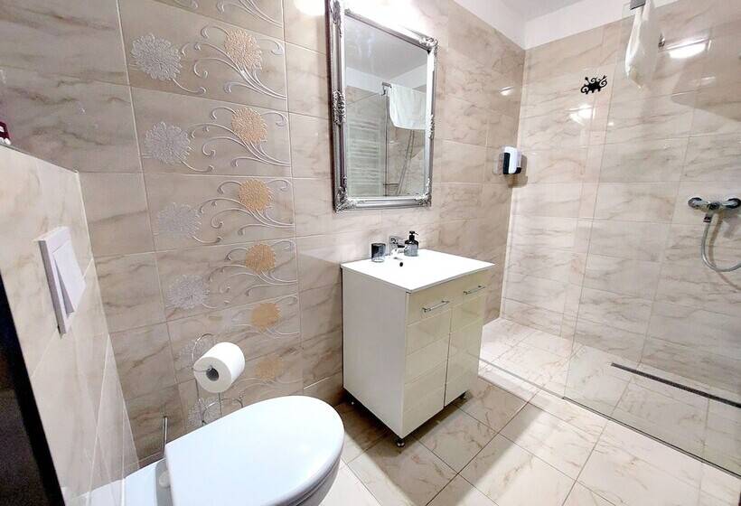 带1个卧室的豪华公寓, Casa Roth Apartments