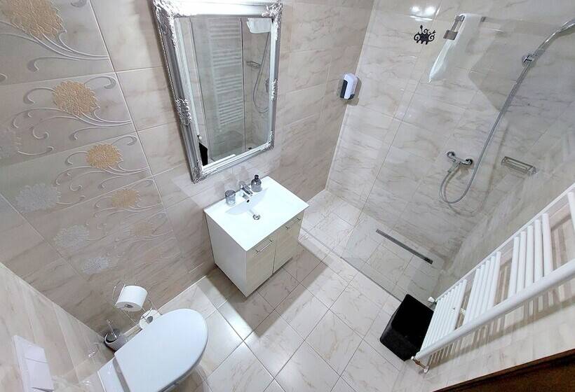 带1个卧室的豪华公寓, Casa Roth Apartments