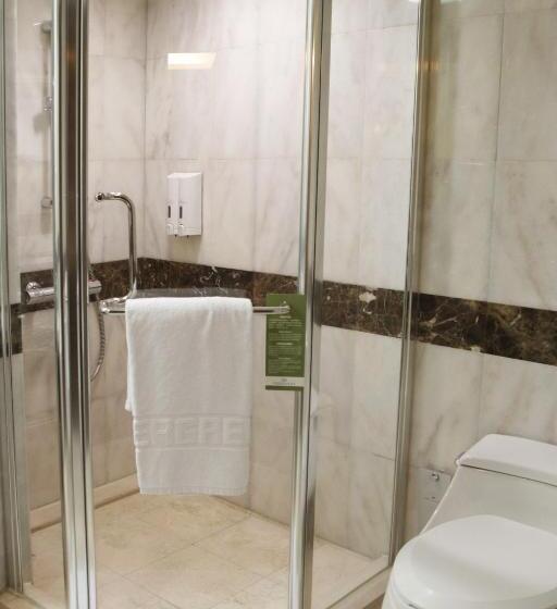 اتاق لوکس, Evergreen Plaza Hotel   Tainan