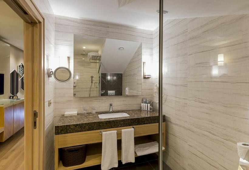 디럭스 패밀리 룸, Swandor Hotels & Resorts   Topkapi Palace