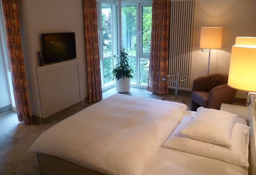 컴포트 싱글 룸, Fontana Hotel Wiesbaden