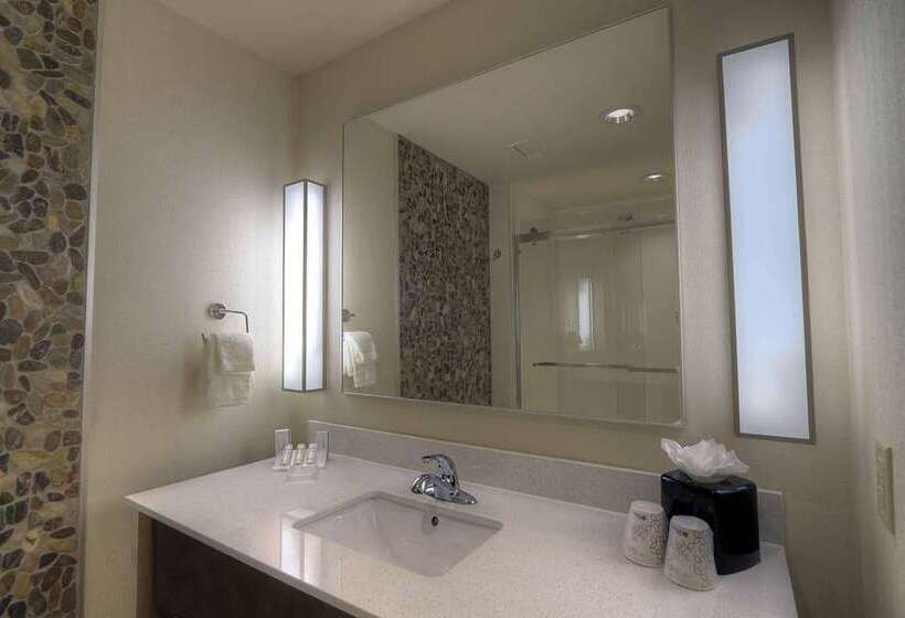 스탠다드 룸, Hilton Los Cabos