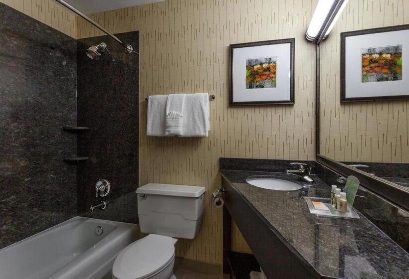 带大床的高级房间, Holiday Inn Chicago North Evanston, An Ihg