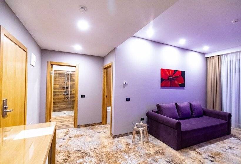 آپارتمان سوپریور 1 خوابه, Grand View Hotel & Suites Copou