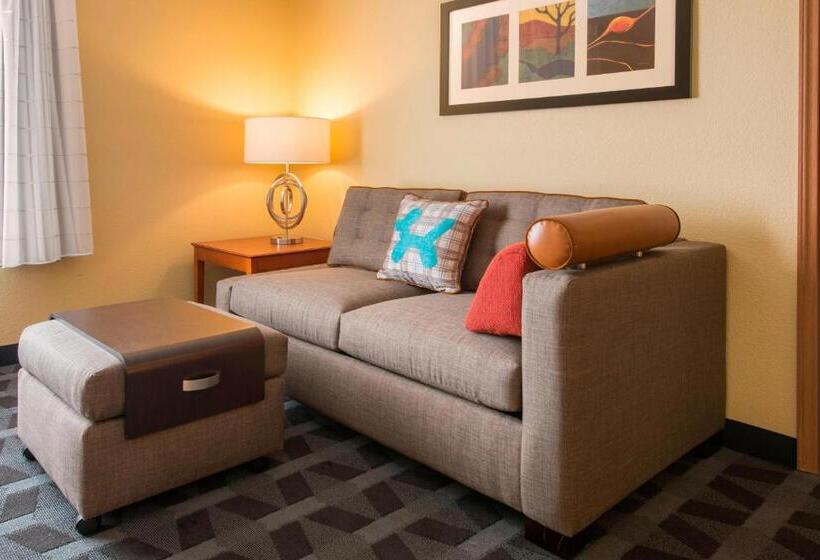 Студия Стандарт, Towneplace Suites Denver Tech Center