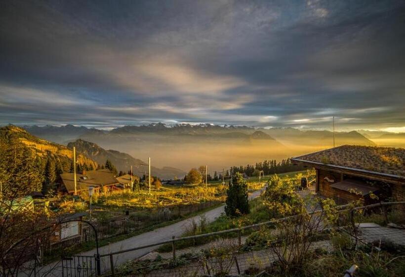 Номер Superior, Kräuterhotel Edelweiss