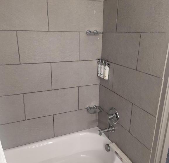 Номер Стандарт, Holiday Inn Express & Suites Salt Lake City N  Bountiful