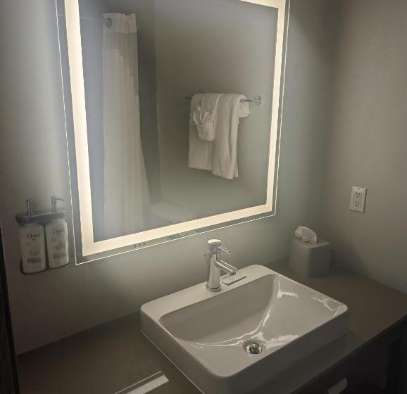 Люкс Адаптированный для Инвалидов, Holiday Inn Express & Suites Salt Lake City N  Bountiful