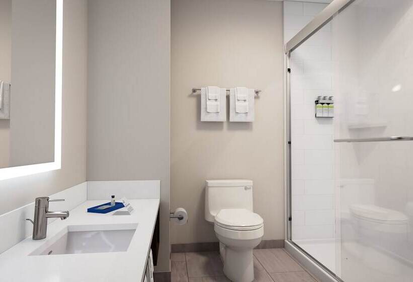 Номер Стандарт, Holiday Inn Express & Suites Salt Lake City N  Bountiful