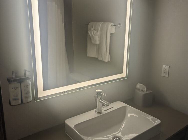 Номер Премиум, Holiday Inn Express & Suites Salt Lake City N  Bountiful