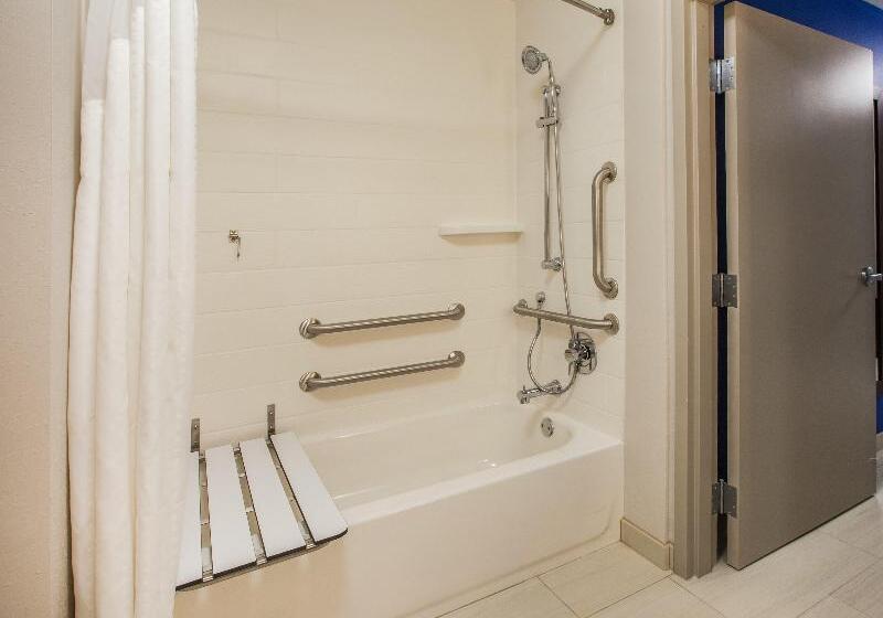 Люкс Адаптированный для Инвалидов, Holiday Inn Express & Suites Salt Lake City N  Bountiful