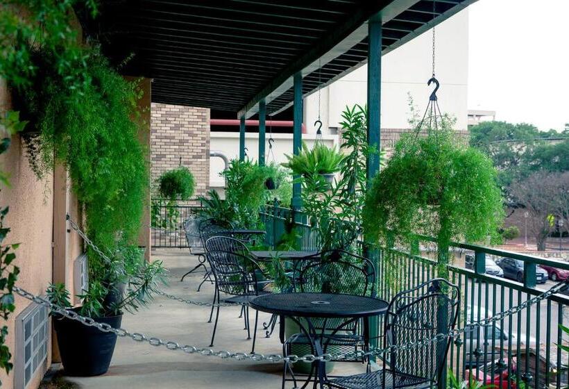 חדר סטנדרט שתי מיטות זוגיות, O Brien Riverwalk Boutique