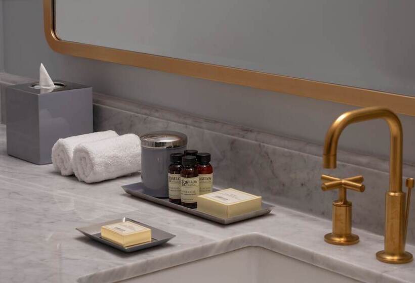 Suite, The Eliza Jane, In The Unbound Collection By Hyatt