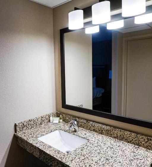 이그제큐티브 룸 킹사이즈 침대, Boarders Inn & Suites By Cobblestone Hotels   Grand Island