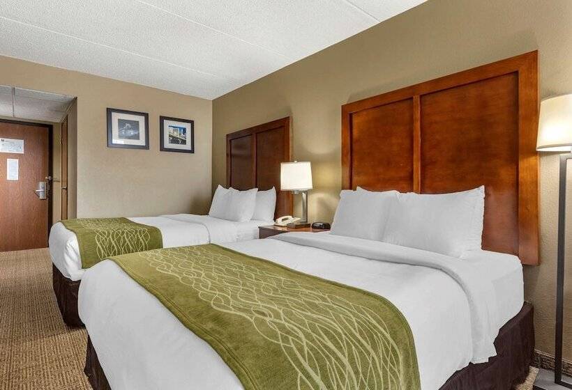 스탠다드 룸 더블 침대 2개, Comfort Inn Cranberry Twp