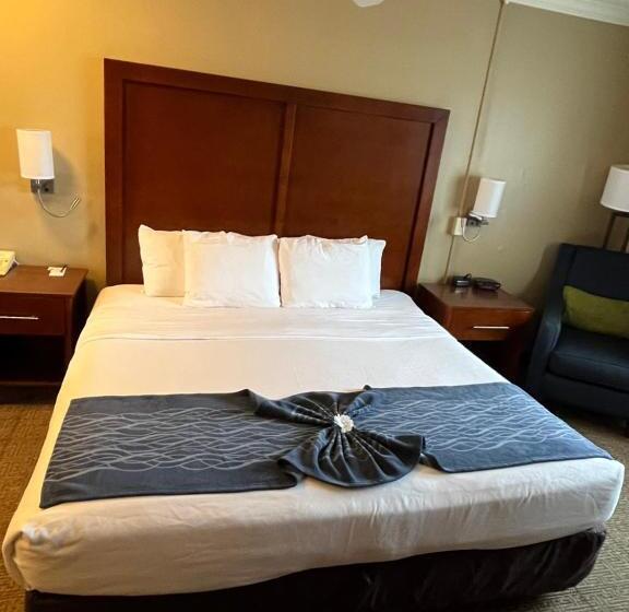 Стандартный Номер Кровать Кинг, Comfort Inn & Suites Ocean Shores