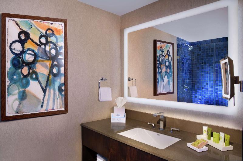 חדר סטנדרט עם מיטת קינג, Hilton Austin