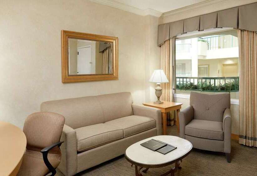 חדר סטנדרט, Hilton Austin