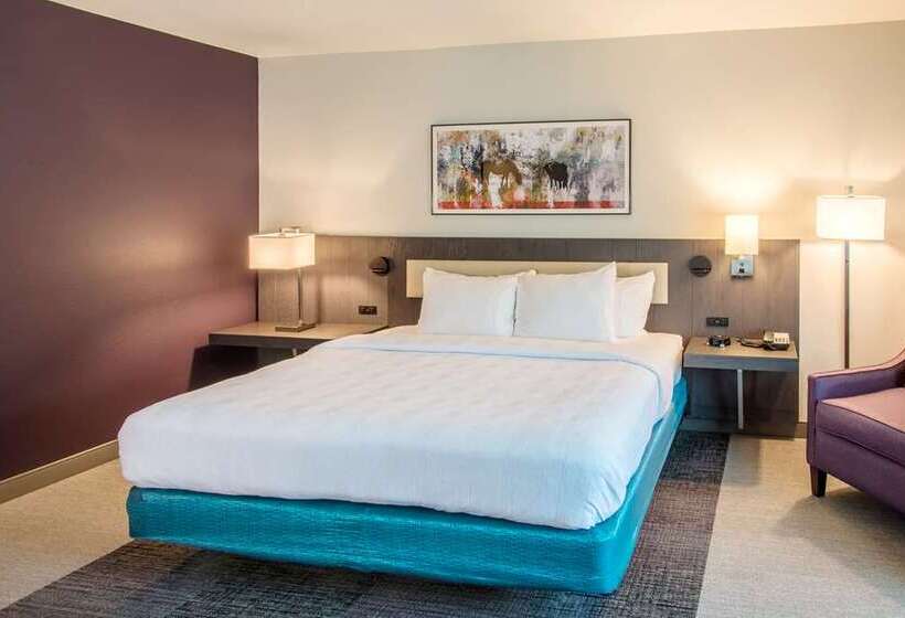 Номер Стандарт Кровать Кинг Адаптированный для Инвалидов, Hilton Austin