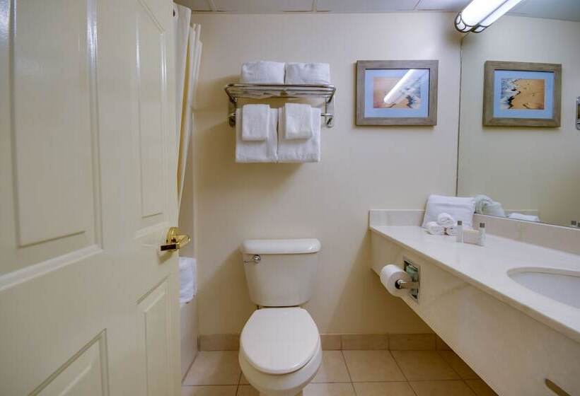 シングルデラックスルーム, Grand Hotel Ocean City Oceanfront