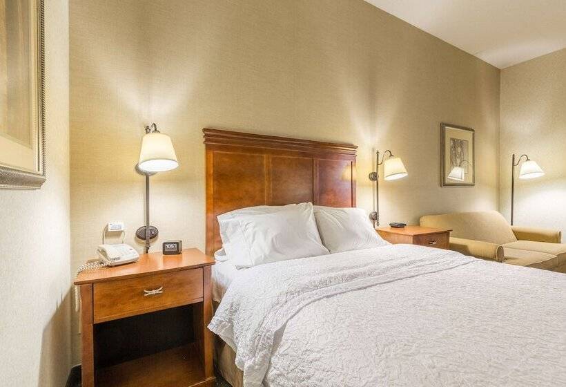 Номер Стандарт Адаптированный для Инвалидов, Hampton Inn Sidney